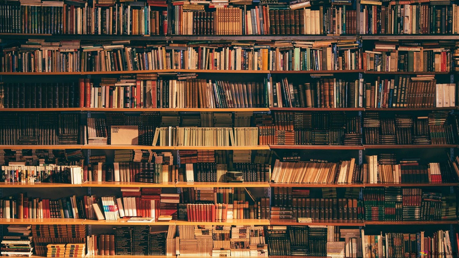 Library shelves representing the complete author and publishing journey